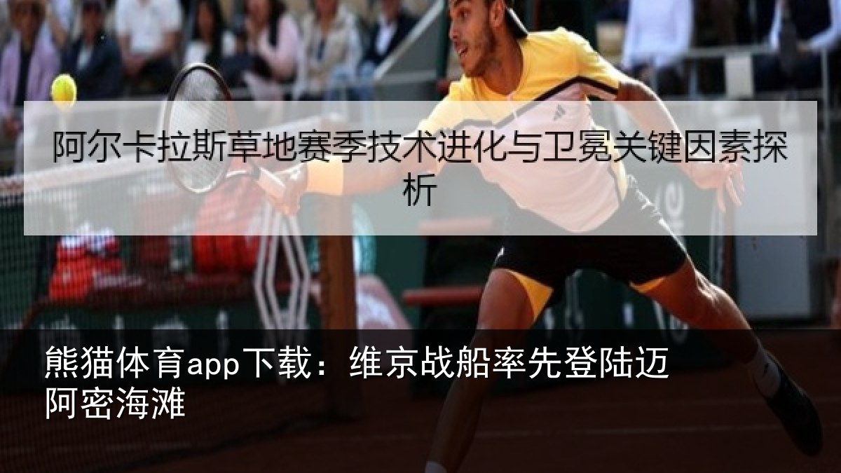 熊猫体育app下载:维京相关情况密海滩