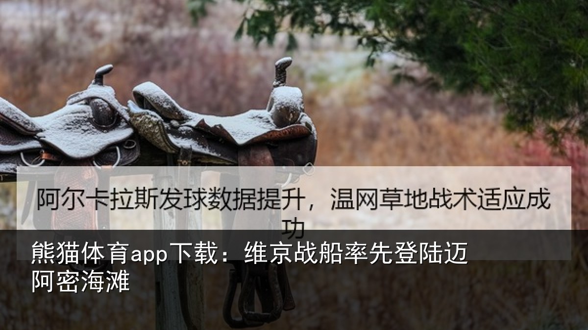 熊猫体育app下载:维京相关情况密海滩