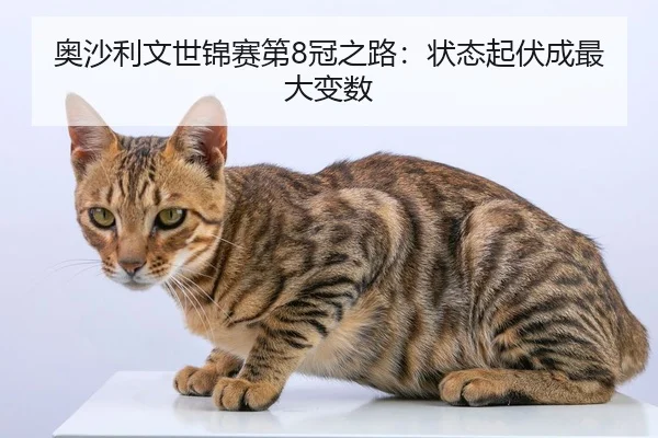 奥沙利文世锦赛第8冠之路：状态起伏成最大变数