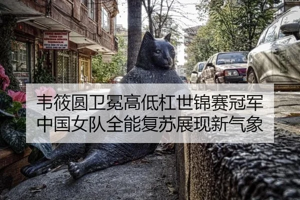 wei-xiao-yuan-wei-mian-gao-di-gang-shi-jin-sai-guan-jun-zhong-guo-nv-dui-quan-neng-fu-su-zhan-xian-xin-qi-xiang-3-358.jpg