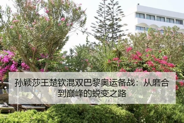 孙颖莎王楚钦混双巴黎奥运备战：从磨合到巅峰的蜕变之路